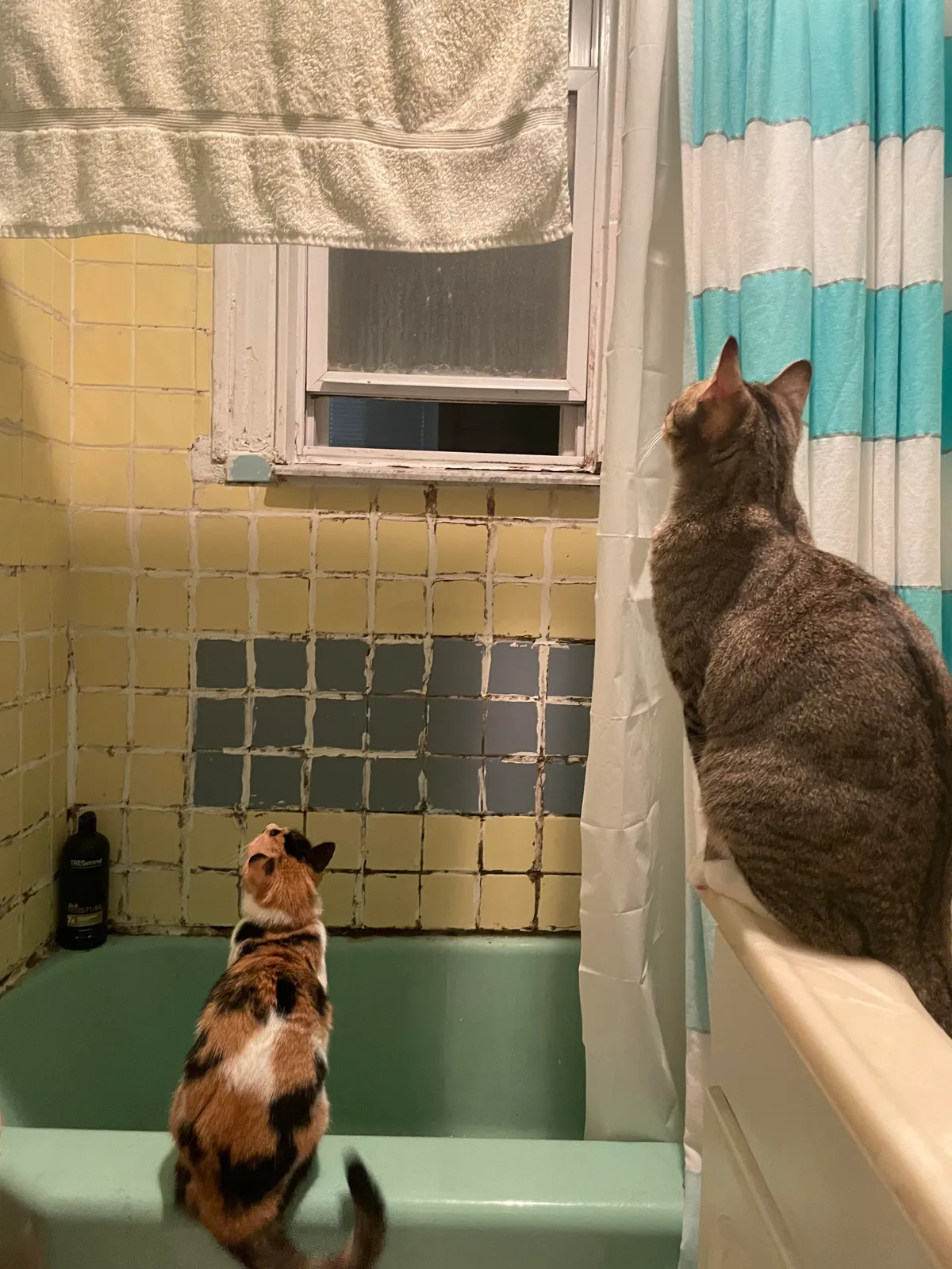 Just trying to take a peaceful pee. But now I’m terrified.