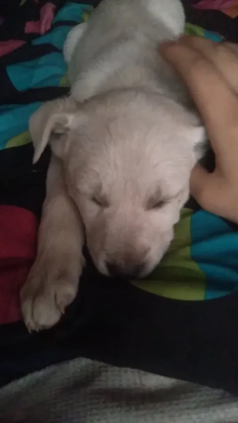 My little snowcone melting in my lap