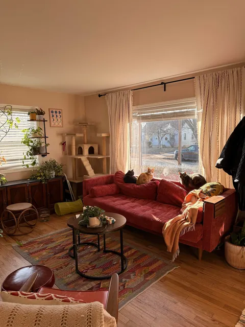 Just bought my first house!