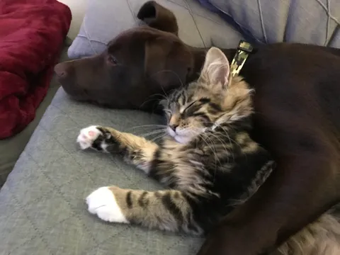 Just cuddling his little sister