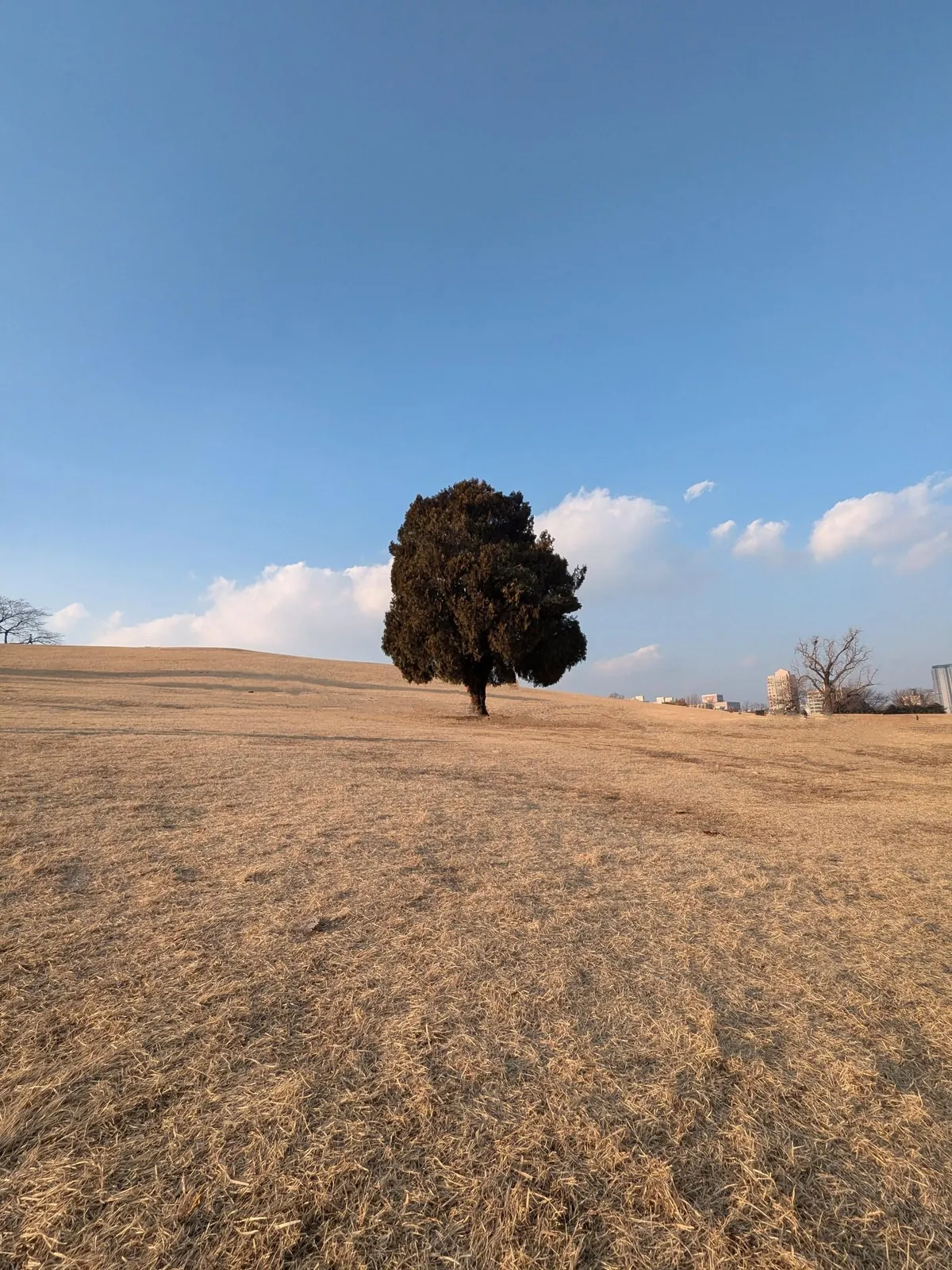 Winter in South Korea