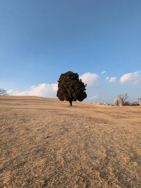 Winter in South Korea