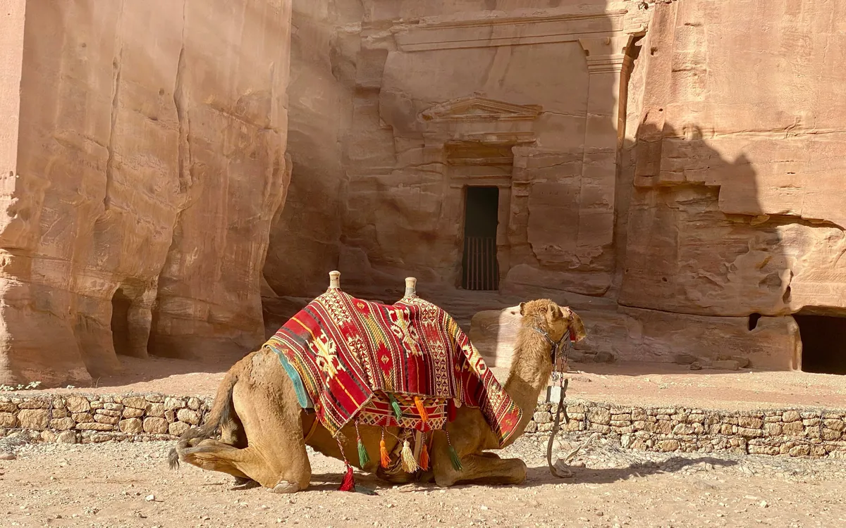 Exploring empty Jordan during a business trip