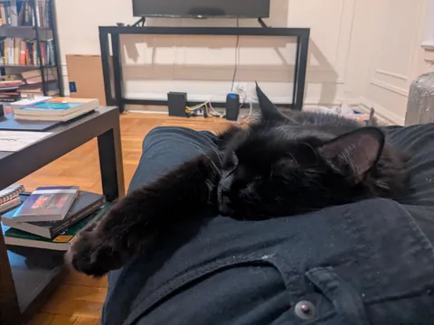 I'm overdue to share my baby, Nessa