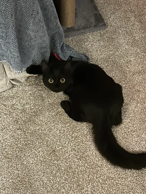 Came back after Xmas Eve drinks to see her for a bit but now it’s 5am and I don’t want to leave :(