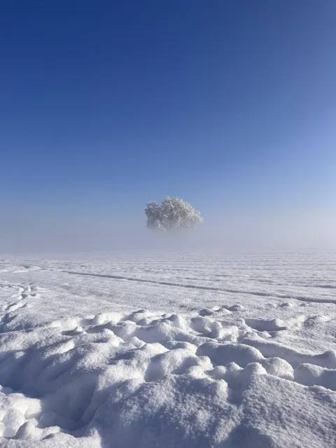 Winter landscape in Switzerland [OC][3024x4032]