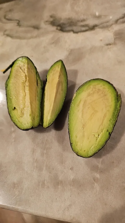 I definitely won the avocado lottery...