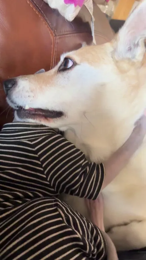 They are literally the best of friends and it makes me smile every day.