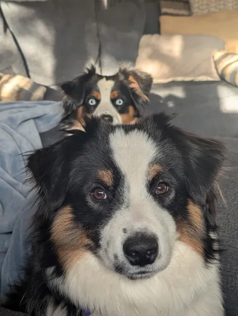 Cody and his sleep paralysis demon, aka Lola