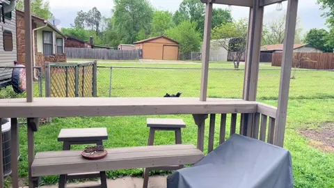 My Aussie made his own race track in our backyard. 