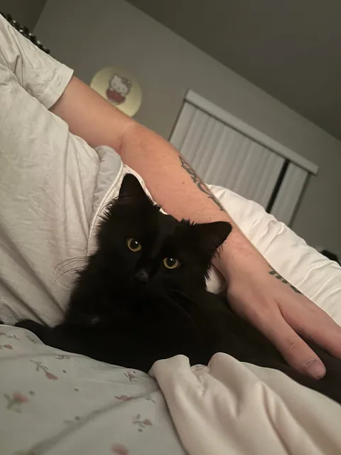 Found her living in the woods 