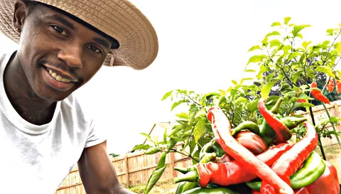 I love peppers. What about you?