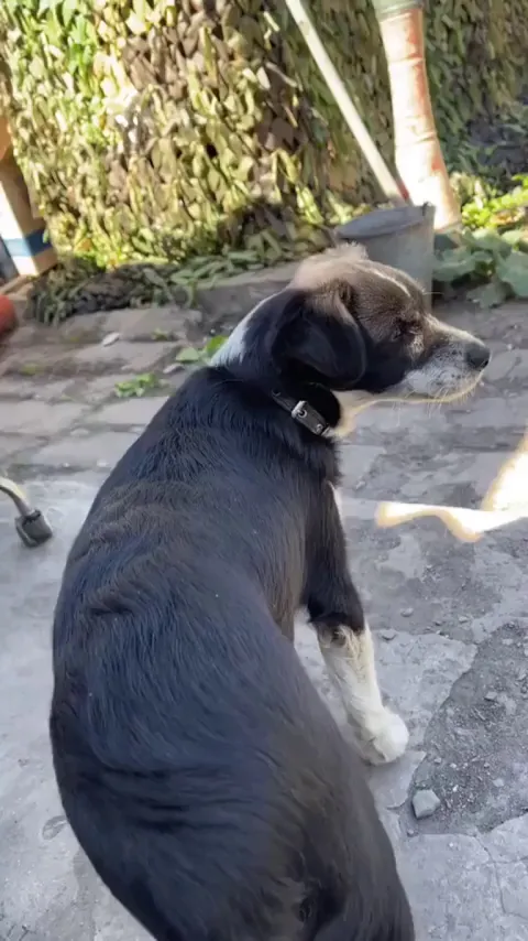 Hypersonic Missles Ukraine or Russia?