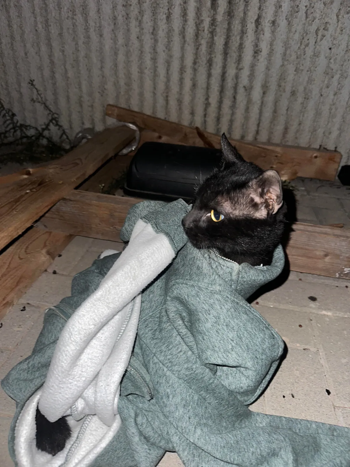 I think I really fucked up :(