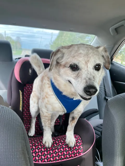 He's just a baby 🥺