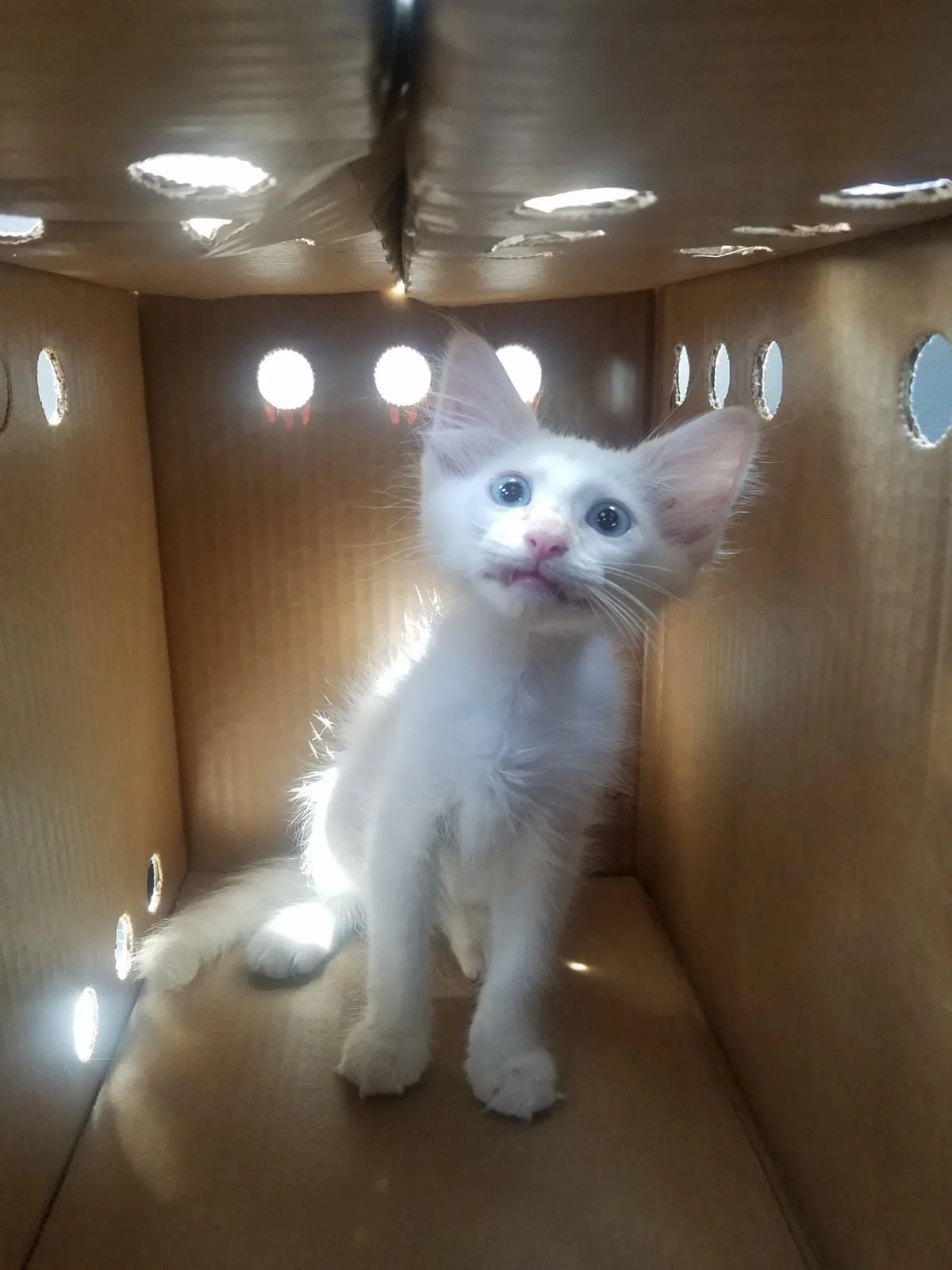 Our boy's growth over the past couple years