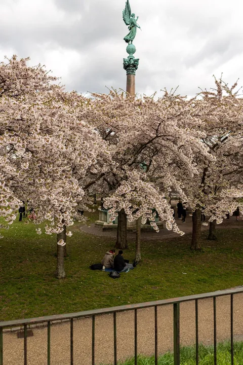 Had such a beautiful weekend in Copenhagen!