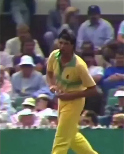 Crowd catch in cricket