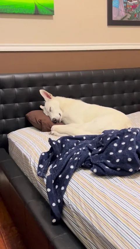 He’s always taking my spot 😅