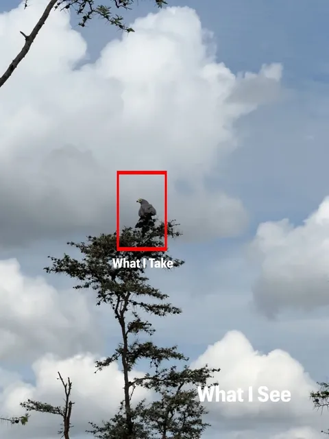 Photographer shows his POV vs the photos he takes.