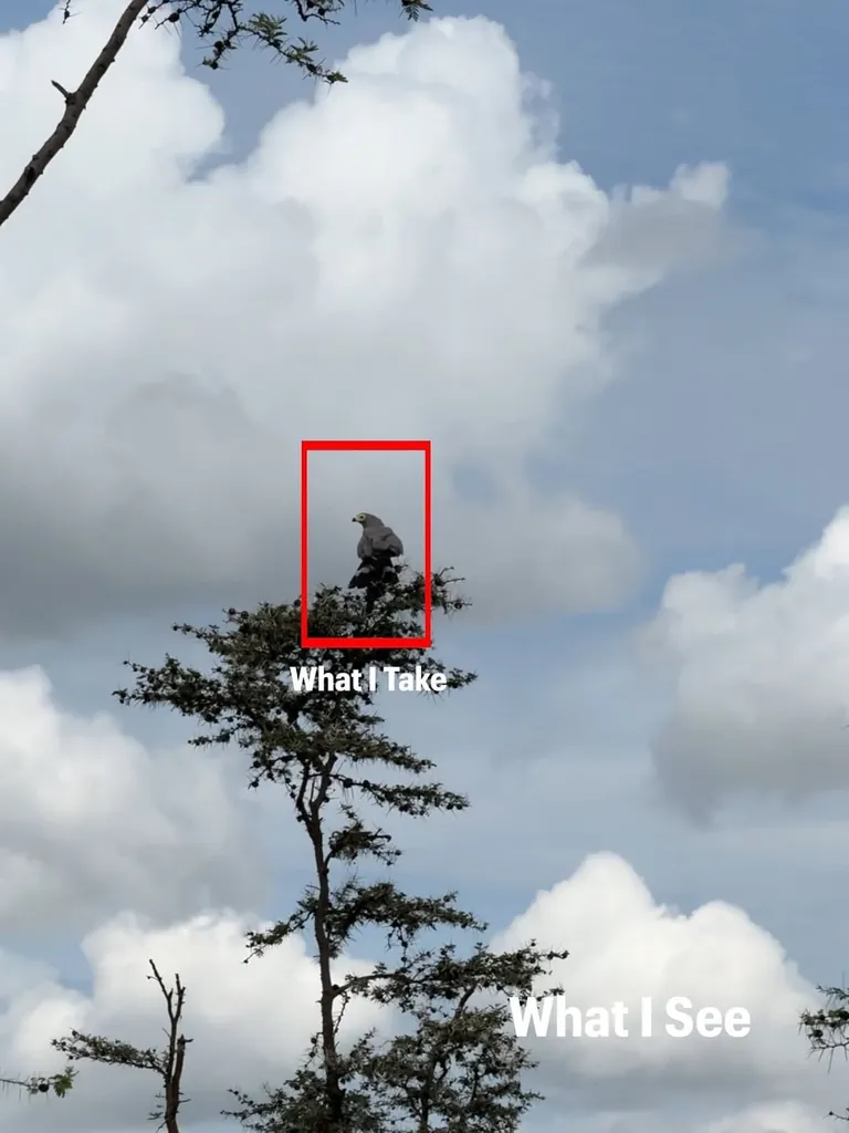 Photographer shows his POV vs the photos he takes.