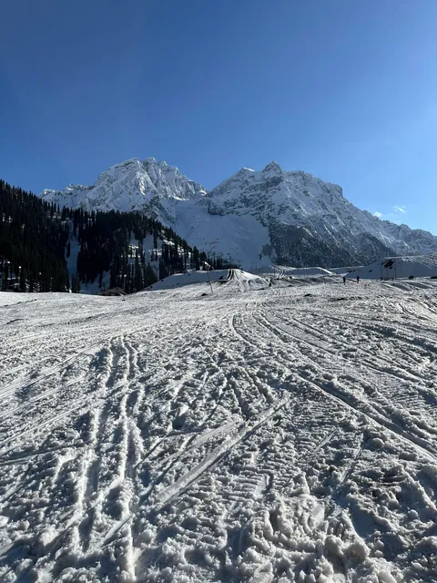 Scenes from my travels across India 🇮🇳