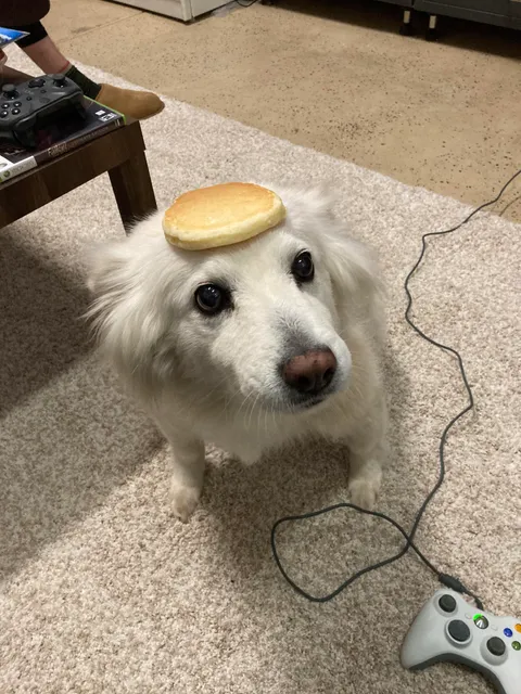 It is my honor to present you with a pancake on Pancake!