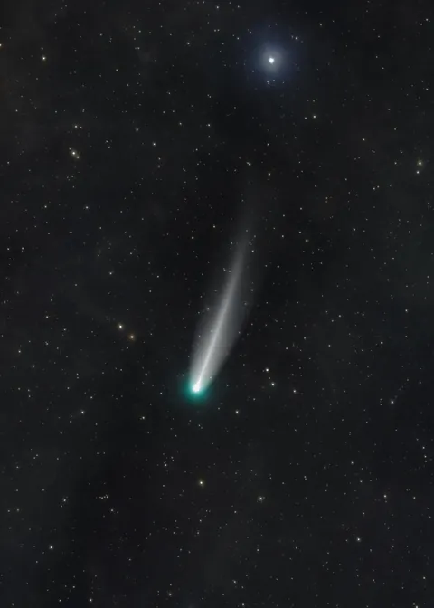 C 220P McNaught