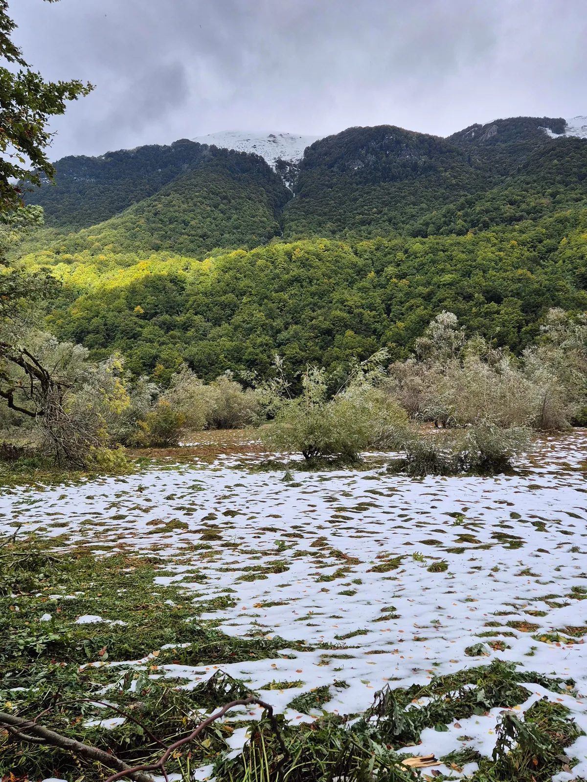 Trip Report: Serbia, Bosnia, and Montenegro