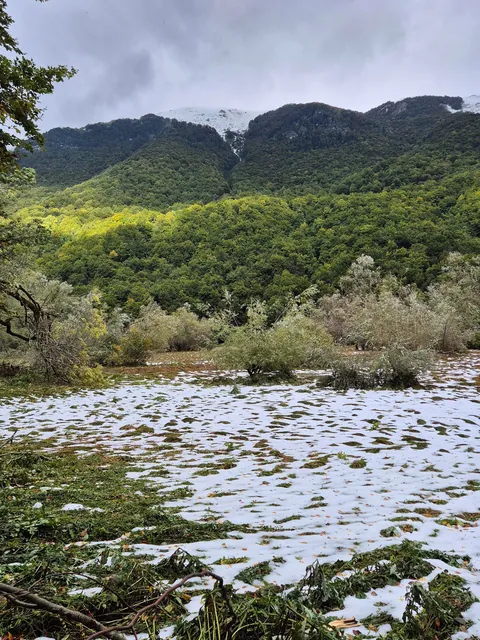 Trip Report: Serbia, Bosnia, and Montenegro