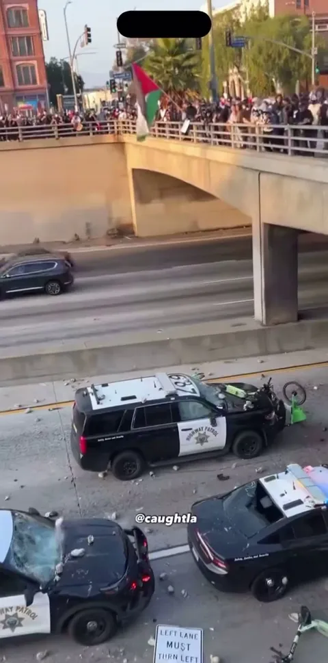 Protestors force LAPD to retreat