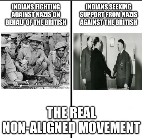 The Real Non-Aligned Movement