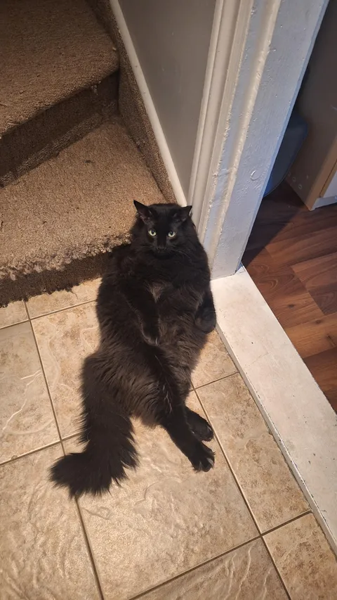 I walk out of the bathroom &amp; this guy's sitting here like I owe him money.