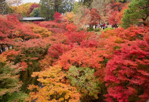 Autumn in Kansai, Japan