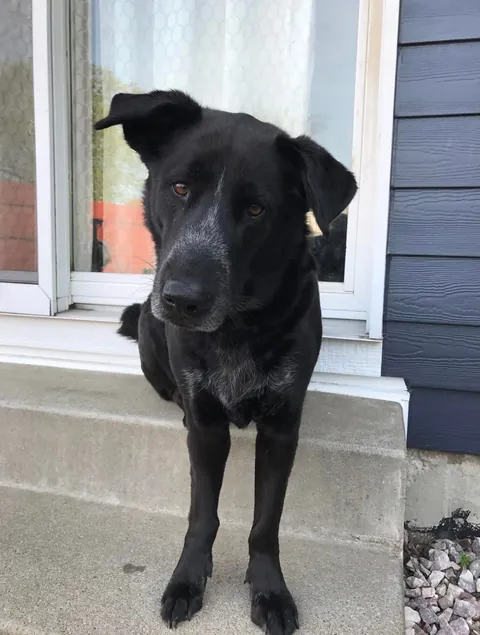 We’ve kissed all his color off the past 10 years