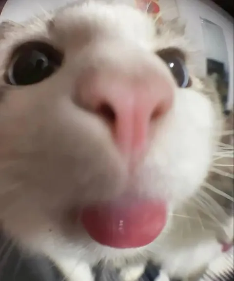 If you see this today, I hope you have a good day