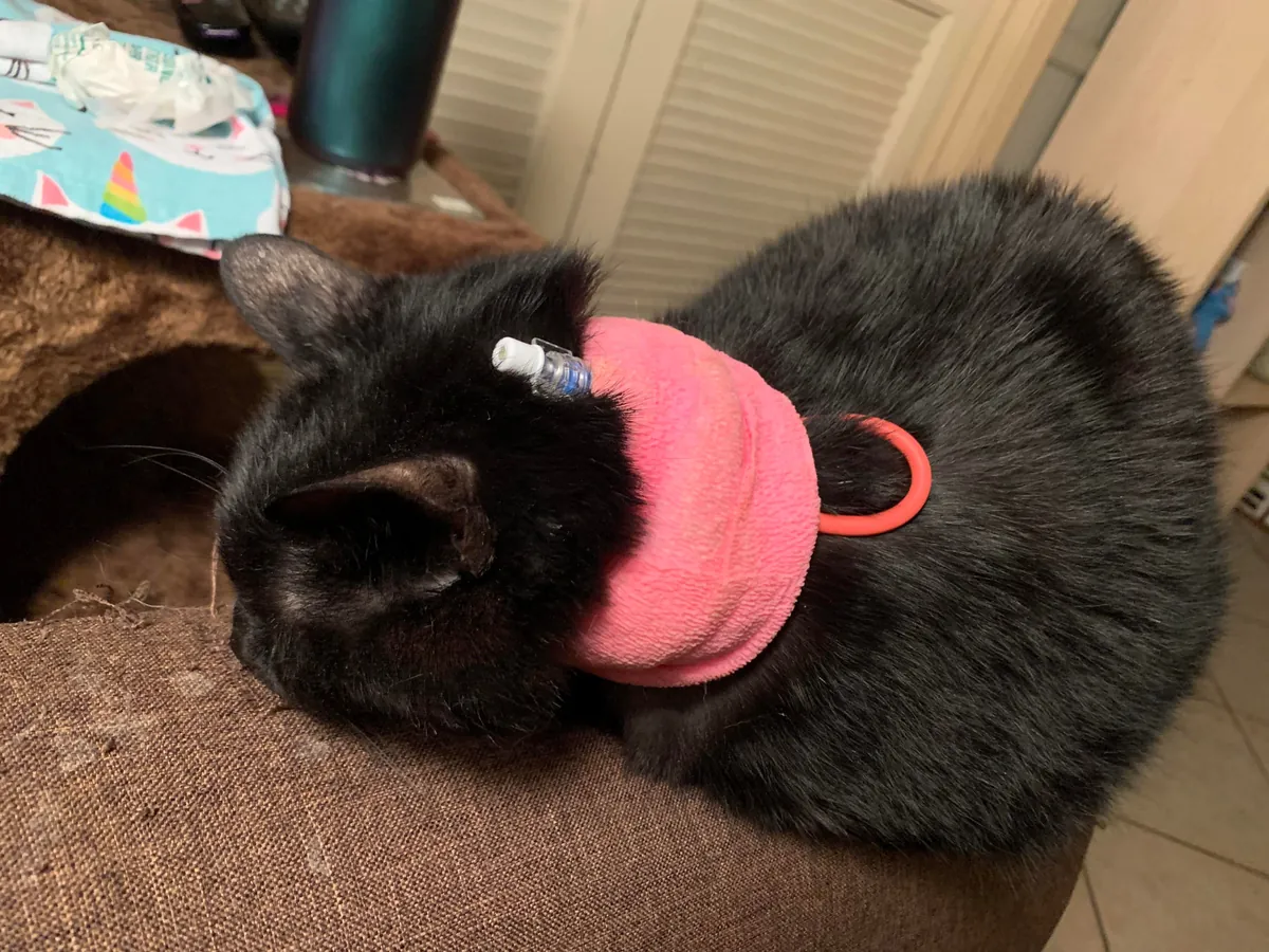 Heaven just got a little more BADASS!!