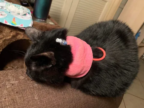 Heaven just got a little more BADASS!!