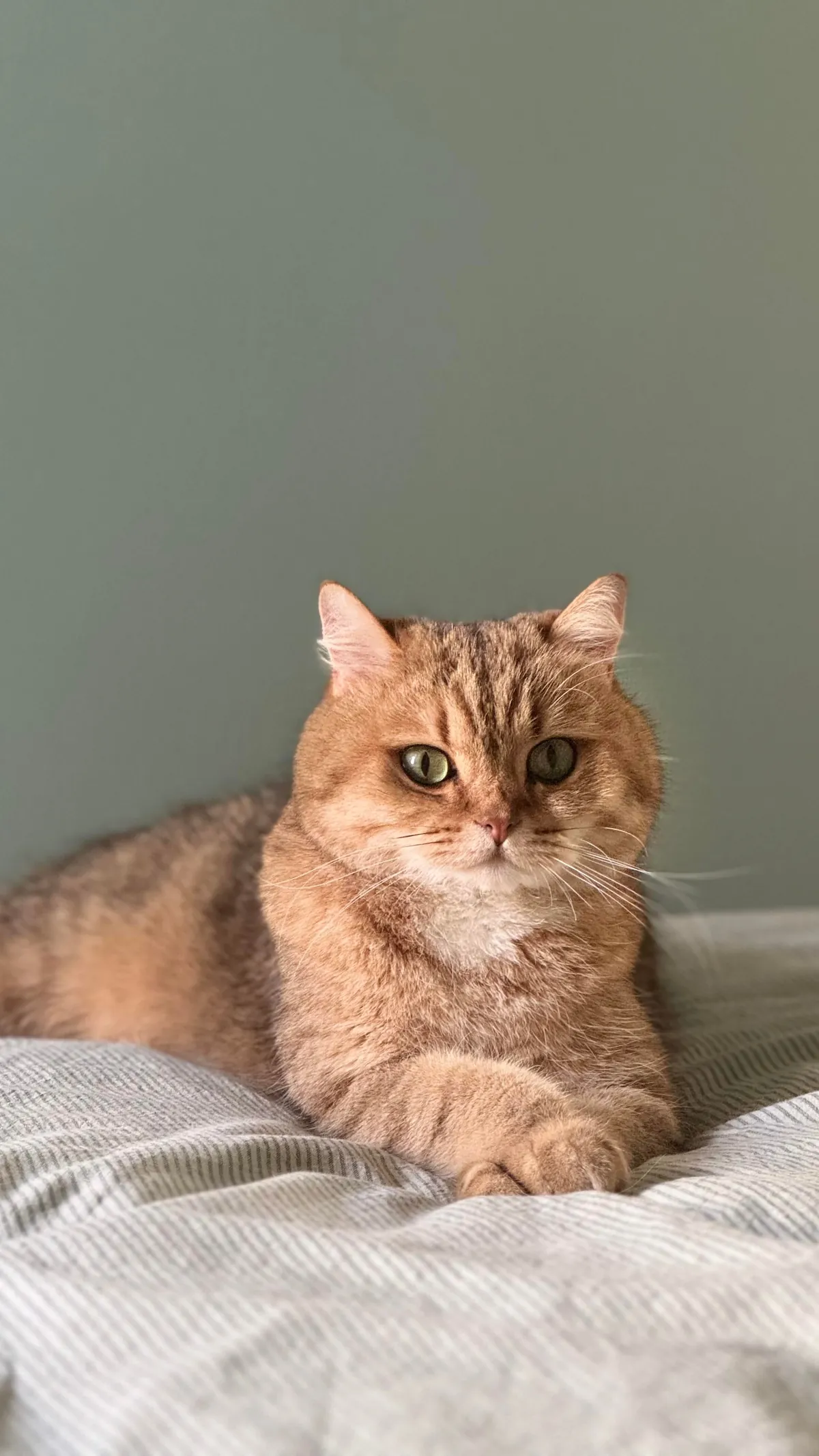 The only reason I still wake up every day