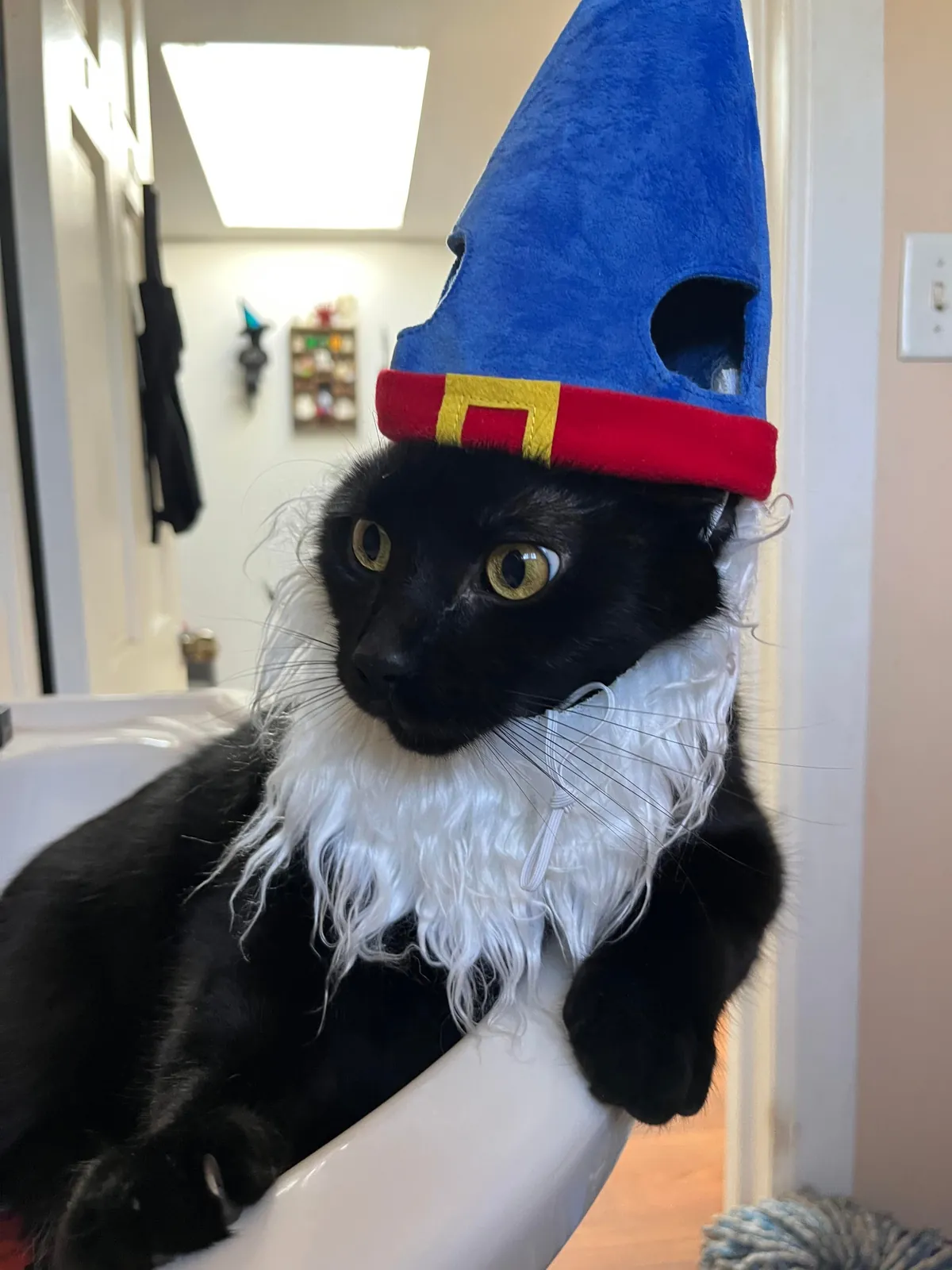 My goodest boy (only boy)