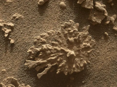 NASA's Curiosity views martian rock shaped like coral