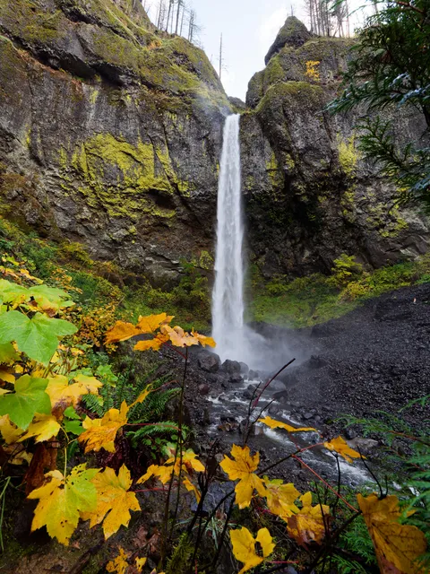 Elowah Falls, Oregon [OC][3888x5184]