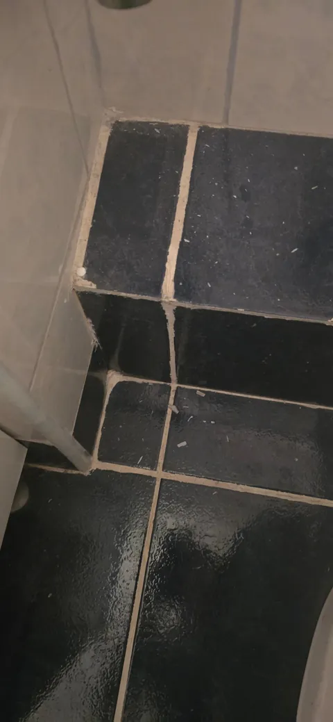 Neighbors drilled my wall... TWICE