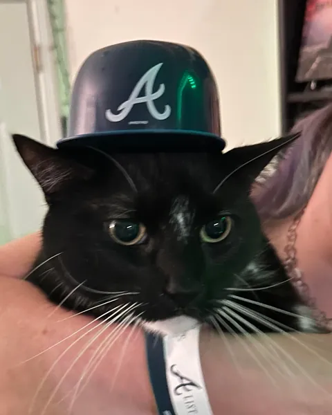 I never wanted to have to make this post. For my baby, Turkleton