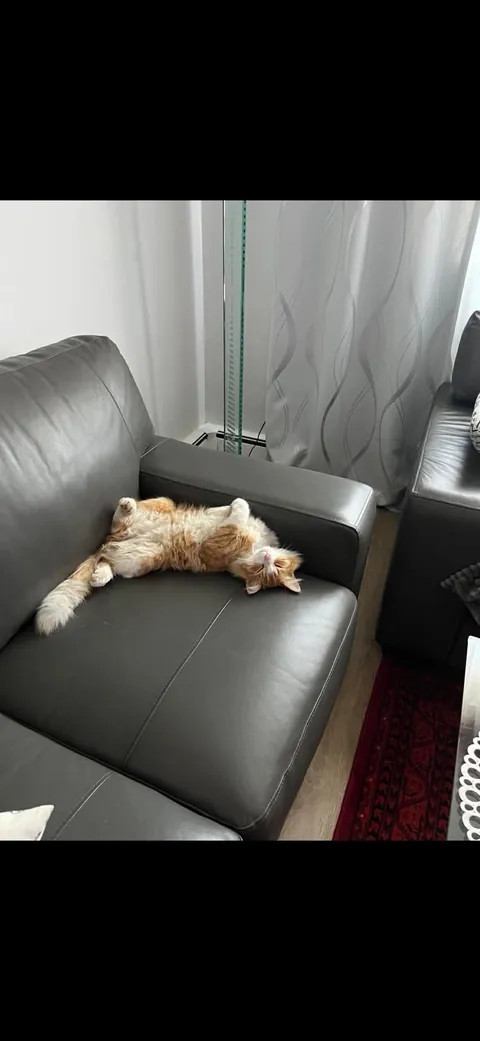 Buddy was homeless a couple months ago