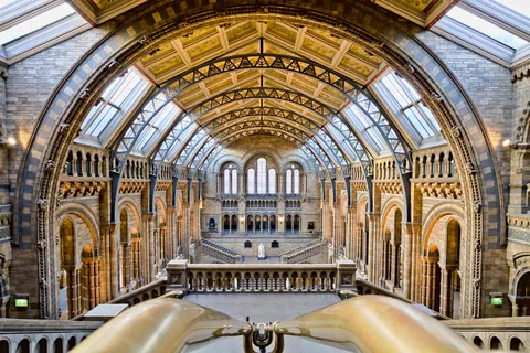 Natural History Museum, London, UK [OC]