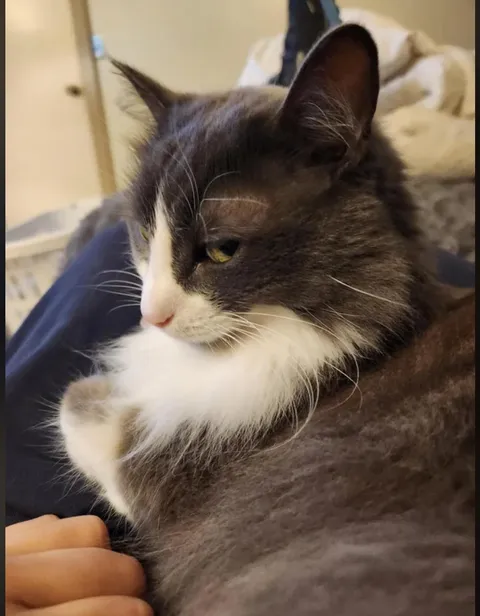 Booped her nose, this may be my last post.