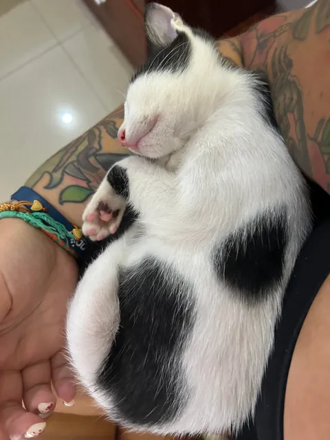 His first night off the street