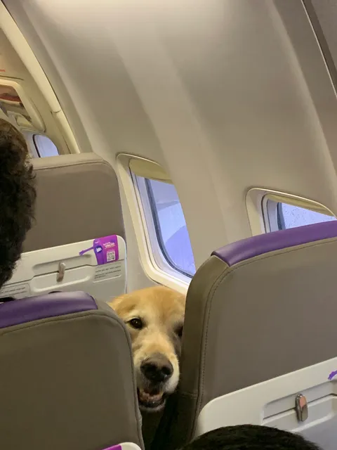 When you open a bag of chips the gentleman in front couldn't contain himself.