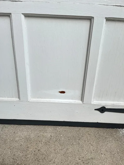 Only took all summer… finally stained my garage door.